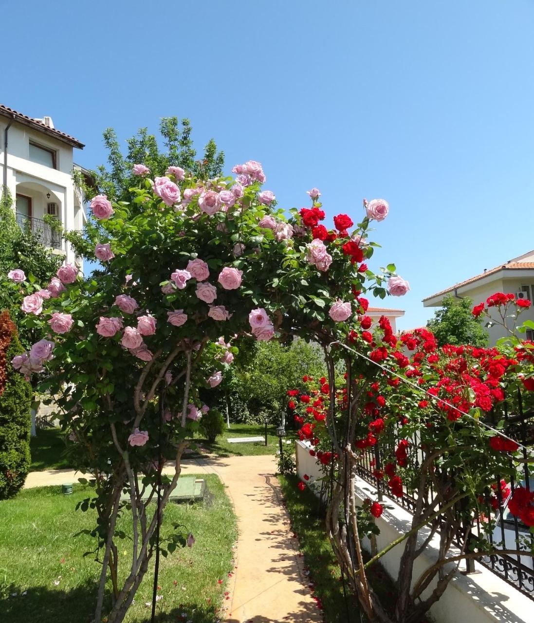 Triumph Holiday Village Sweti Wlas Exterior foto